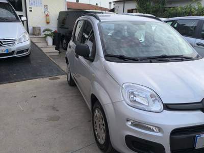 Fiat Panda LA 75CV INTRAMONTABILE Argento usata Cellole