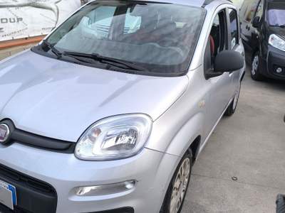 Fiat Panda LA 75CV INTRAMONTABILE Argento usata Cellole