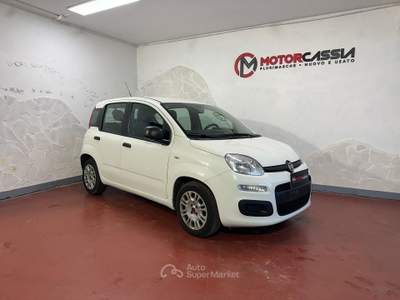 Fiat Panda ADATTA A NEOPATENTATI Bianco usata Roma