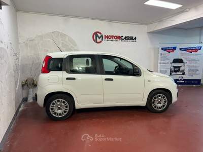 Fiat Panda ADATTA A NEOPATENTATI Bianco usata Roma