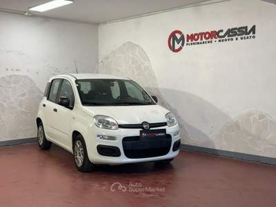 Fiat Panda ADATTA A NEOPATENTATI Bianco usata Roma