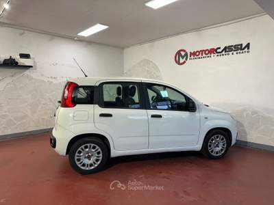 Fiat Panda ADATTA A NEOPATENTATI Bianco usata Roma
