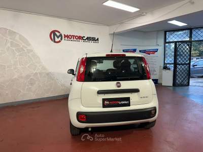 Fiat Panda ADATTA A NEOPATENTATI Bianco usata Roma