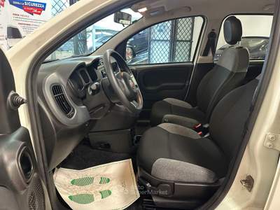 Fiat Panda ADATTA A NEOPATENTATI Bianco usata Roma