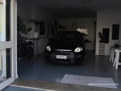 Fiat Punto Evo Intramontabile Nero usata Cellole