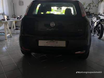Fiat Punto Evo Intramontabile Nero usata Cellole