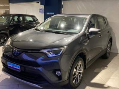 Toyota RAV4 RAV4 2.5 Hybrid 2WD Active Grigio usata CASTELDACCIA