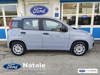 Fiat Panda 1.2 Easy 69 CV benzina Grigio usata Pignataro Maggiore