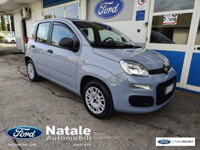 Fiat Panda 1.2 Easy 69 CV benzina Grigio usata Pignataro Maggiore