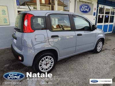 Fiat Panda 1.2 Easy 69 CV benzina Grigio usata Pignataro Maggiore
