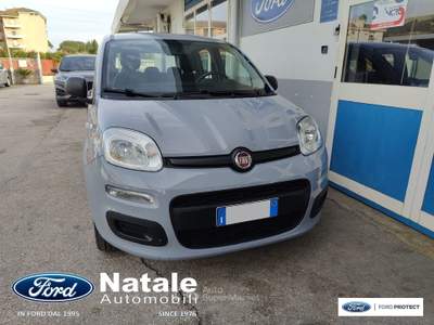 Fiat Panda 1.2 Easy 69 CV benzina Grigio usata Pignataro Maggiore