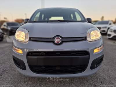 Fiat Panda Panda 1.0 FireFly S&S Hybrid Grigio usata RIMINI
