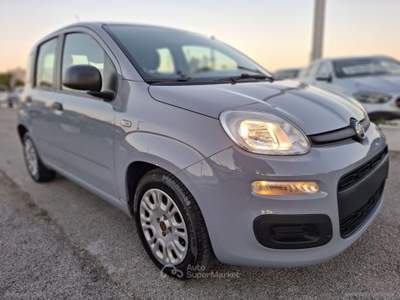 Fiat Panda Panda 1.0 FireFly S&S Hybrid Grigio usata RIMINI