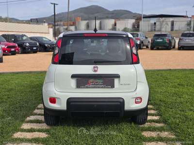 Fiat Panda Panda 1.0 FireFly S&S Hybrid Sport Bianco usata Partinico
