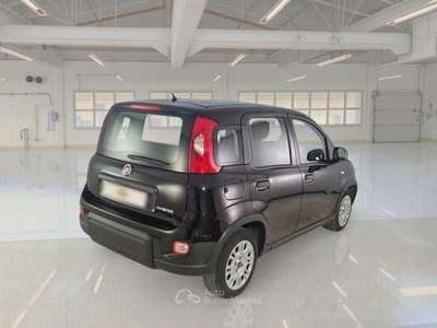 Fiat Panda FIAT PANDA 1.0 FireFly 70cv S&S Hybrid 5 PORTE usata Pozzuoli