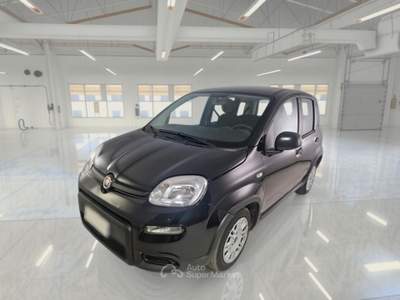 Fiat Panda FIAT PANDA 1.0 FireFly 70cv S&S Hybrid 5 PORTE usata Pozzuoli