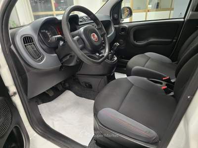 Fiat Panda 95 CV S&S Easy Bianco usata Rovigo