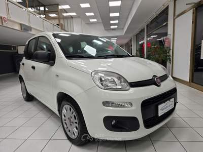 Fiat Panda 95 CV S&S Easy Bianco usata Rovigo