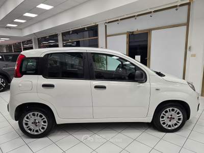 Fiat Panda 95 CV S&S Easy Bianco usata Rovigo