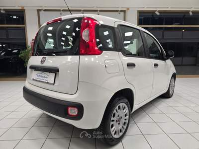 Fiat Panda 95 CV S&S Easy Bianco usata Rovigo