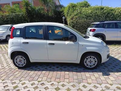 Fiat Panda Panda 1.2 EasyPower Lounge Bianco usata Cimitile