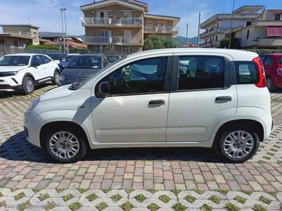 Fiat Panda Panda 1.2 EasyPower Lounge Bianco usata Cimitile