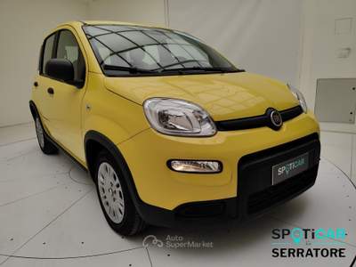 Fiat Panda Panda III Panda 1.0 firefly hybrid s&s 70cv Giallo usata Erba