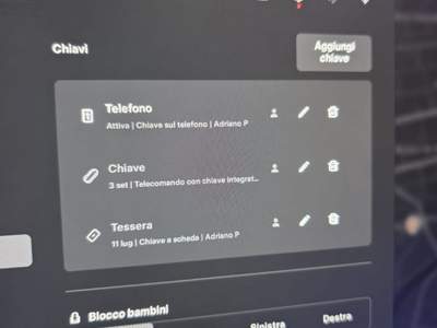 Tesla Model S Plaid 2022 Nero usata Bari