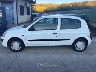 Renault Clio cat 3 porte Access Van Bianco usata Mentana