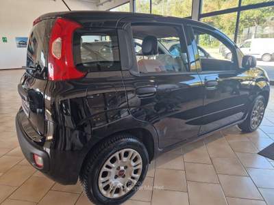 Fiat Panda germania Nero usata Teramo
