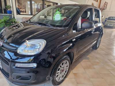 Fiat Panda germania Nero usata Teramo
