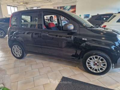 Fiat Panda germania Nero usata Teramo