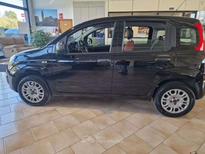 Fiat Panda germania Nero usata Teramo