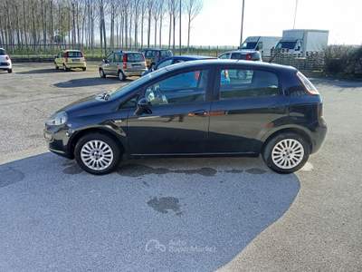 Fiat Punto Evo Berlina , 5 Porte, Benzina , 57 kW (78 CV), Manuale , 5 Posti Nero usata TAGLIO DI PO