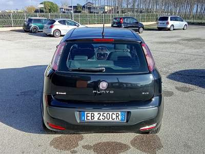 Fiat Punto Evo Berlina , 5 Porte, Benzina , 57 kW (78 CV), Manuale , 5 Posti Nero usata TAGLIO DI PO