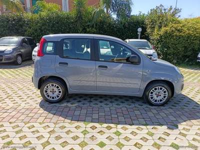 Fiat Panda Panda 1.2 Easy Grigio usata Cimitile