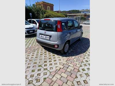 Fiat Panda Panda 1.2 Easy Grigio usata Cimitile