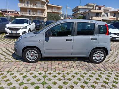 Fiat Panda Panda 1.2 Easy Grigio usata Cimitile