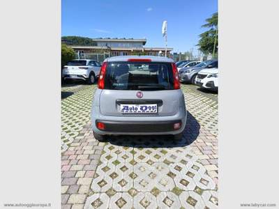 Fiat Panda Panda 1.2 Easy Grigio usata Cimitile
