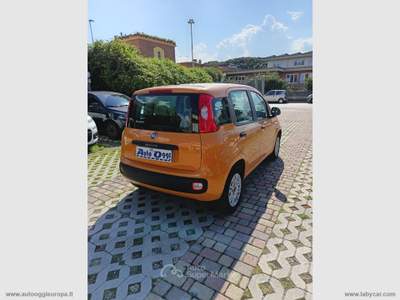Fiat Panda Panda 1.2 Easy Arancione usata Cimitile