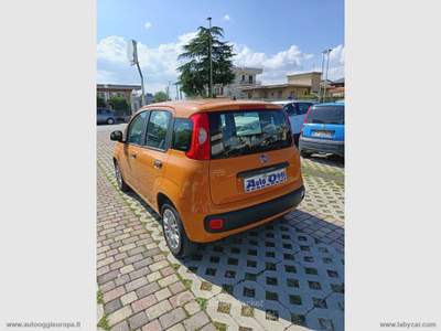 Fiat Panda Panda 1.2 Easy Arancione usata Cimitile