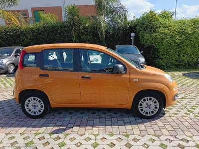 Fiat Panda Panda 1.2 Easy Arancione usata Cimitile