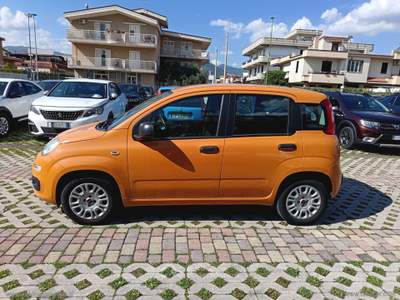 Fiat Panda Panda 1.2 Easy Arancione usata Cimitile