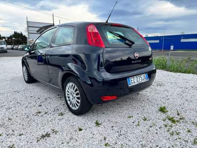 Fiat Punto 8V 3 porte Lounge Nero usata Cecina