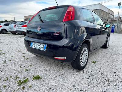 Fiat Punto 8V 3 porte Lounge Nero usata Cecina