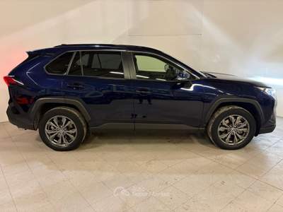 Toyota RAV4 V 2019 Benzina 2.5 vvt-ie h Adventure awd-i 222cv e-cvt Blu/Azzurro usata Monza