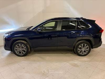 Toyota RAV4 V 2019 Benzina 2.5 vvt-ie h Adventure awd-i 222cv e-cvt Blu/Azzurro usata Monza