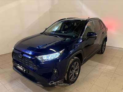 Toyota RAV4 V 2019 Benzina 2.5 vvt-ie h Adventure awd-i 222cv e-cvt Blu/Azzurro usata Monza