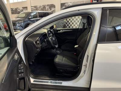 Ford Focus Focus 1.0 EcoBoost Hybrid 125 CV 5p. Active Bianco usata Occhiobello