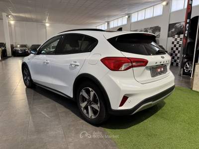 Ford Focus Focus 1.0 EcoBoost Hybrid 125 CV 5p. Active Bianco usata Occhiobello
